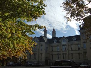 fall view at the village