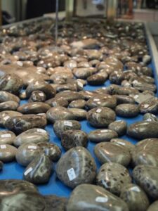 petoskey stones